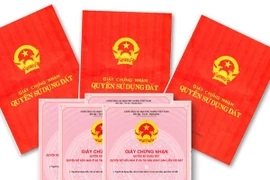 Những vấn đề xung quanh luật đất đai và luật lâm nghiệp