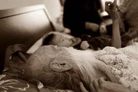 Cháu ngoại PGS Văn Như Cương kể lại phút cuối của thầy