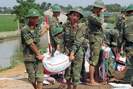 Ngập lụt ở Chương Mỹ: Huy động hàng trăm bộ đội cùng dân hộ đê tả Bùi 