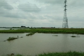 Nhân chứng bàng hoàng kể lại giây phút vớt 5 học sinh chết đuối