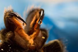 Khoảnh khắc độc lạ hiếm có từ bộ ảnh khoa học