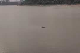 Ảnh: Bàng hoàng phát hiện thi thể nổi giữa hồ Linh Đàm