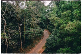 Những vấn đề cần sửa đổi để hài hoà giữa Luật đất đai và Luật lâm nghiệp