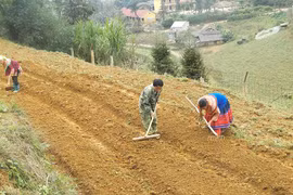 Việc bố trí đất ở, đất sản xuất cho đồng bào DTTS của Lào Cai gặp nhiều khó khăn do quỹ đất chưa đủ và kinh phí còn hạn hẹp.