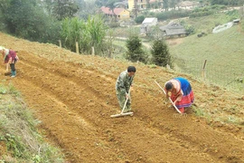 Việc bố trí đất ở, đất sản xuất cho đồng bào DTTS của Lào Cai gặp nhiều khó khăn do quỹ đất chưa đủ và kinh phí còn hạn hẹp.