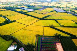 Việc mở rộng áp dụng các giải pháp giảm phát thải khí nhà kính sẽ đóng góp đáng kể cho mục tiêu giảm phát thải chung của quốc gia