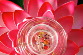 Nhiệm mầu xá lợi Phật