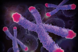 5 giải mã đáng kinh ngạc về cái chết 