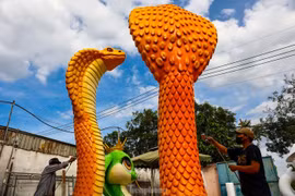 Tận mục cặp linh vật rắn khổng lồ 500 triệu đồng tại TPHCM