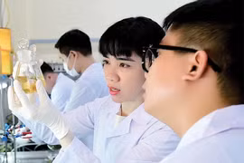 PGS.TS. Nguyễn Thị Ái Nhung: Tạo dược liệu quý từ cây thuốc đặc hữu VN