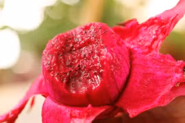 3 loại trái cây không nên mang ra mộ trong ngày Tết Thanh minh