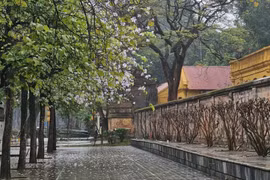 Thời tiết ngày 30/3: Miền Bắc mưa rét, miền Trung mưa rào