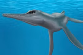 Phát hiện quái vật 80 triệu tuổi, chuyên gia sửng sốt 