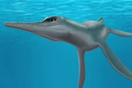 Phát hiện quái vật 80 triệu tuổi, chuyên gia sửng sốt 