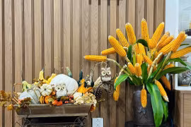 Độc lạ đồ trang trí Halloween 2023