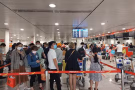 Cảnh giác vơi các chiêu lừa 'săn' vé máy bay Tết