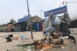 Hà Nội: Cảnh nhếch nhác tại nhiều tuyến phố ở quận Hà Đông