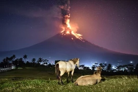 Thiên nhiên kỳ bí: Hồ nở hoa, núi lửa phun... như phim