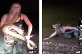 Kinh hãi gái trẻ liều lĩnh bắt trăn "khủng" bằng tay không