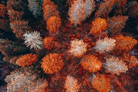 Đẹp mê đắm chùm ảnh chụp thiên nhiên nước Mỹ từ trên cao