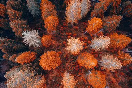 Đẹp mê đắm chùm ảnh chụp thiên nhiên nước Mỹ từ trên cao