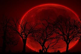 Xem NASA trực tiếp nguyệt thực toàn phần hấp dẫn theo cách này