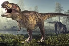 Hàng trăm dấu chân khủng long "khủng" tiết lộ điều thú vị