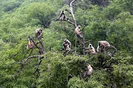 Vẻ đẹp thế giới tự nhiên qua những bức ảnh cực ấn tượng