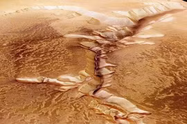 Tiết lộ sự thật về người ngoài hành tinh có từ 100 năm trước