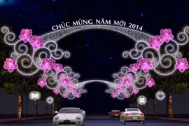 TP HCM: Đèn hoa trang hoàng đường phố hoành tráng ngang Singapore