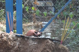 Vụ phát hiện sọ người: Hé lộ nguồn gốc