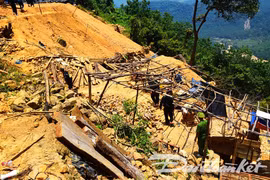 Bãi vàng trái phép.