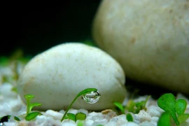 Những điều nên học trong cuộc đời