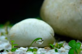 Những điều nên học trong cuộc đời