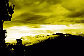 Phật pháp trong đời 