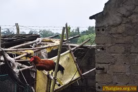 Về Nam Định, thăm chùa Thư Điền ngày mưa bão 