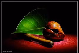 Tu tập từ những thị phi cuộc đời