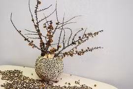 Những đồ vật ảnh hưởng xấu đến vận khí nhà ở 