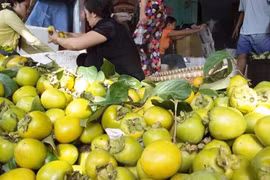 Kinh hoàng hóa chất độc hại trong hồng ngâm