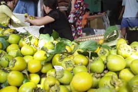 Kinh hoàng hóa chất độc hại trong hồng ngâm