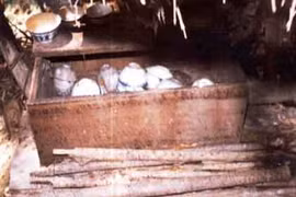  Chuyện Quân đội Sài Gòn cướp kho báu (1) 