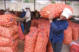 Nữ cửu vạn: khoẻ như chiến sĩ, chí khí như nam nhi