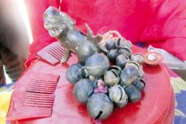 Bí ẩn kho báu của vua Hàm Nghi (1) 