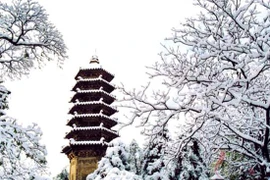 Thăm ngôi chùa cổ nhất Bắc Kinh 