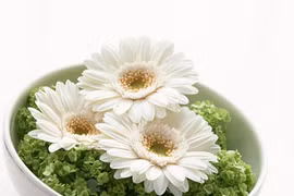 Cách nhìn xuyên thấu những nghịch lý cuộc đời