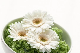 Cách nhìn xuyên thấu những nghịch lý cuộc đời