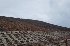 Cụm CN Cẩm Lệ: Bùn đất tràn xuống khu dân cư sau mưa lớn