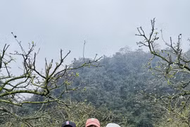 Vợ Đỗ Duy Nam: Đánh đổi sự nghiệp để xây dựng tổ ấm