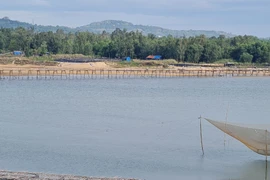 Đến xứ “hoa vàng cỏ xanh”, ngắm cây cầu gỗ dài nhất Việt Nam