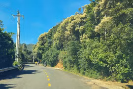 Chinh phục đỉnh Bàn Cờ, tọa độ check in siêu hot của giới trẻ